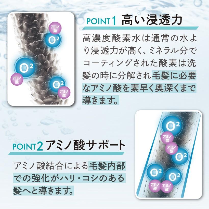 ar O2（アールオーツー）シャンプー 300ml 【ふんわりタイプ】美容室