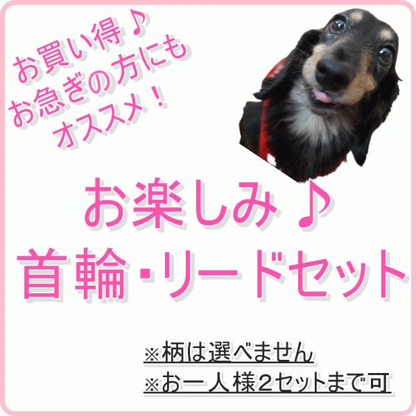 お楽しみ犬用首輪 リードセット 完成品 小型犬 中型犬 子犬 手作り 選べない 福袋 Happyset Cl Beans Factory Yahoo 店 通販 Yahoo ショッピング