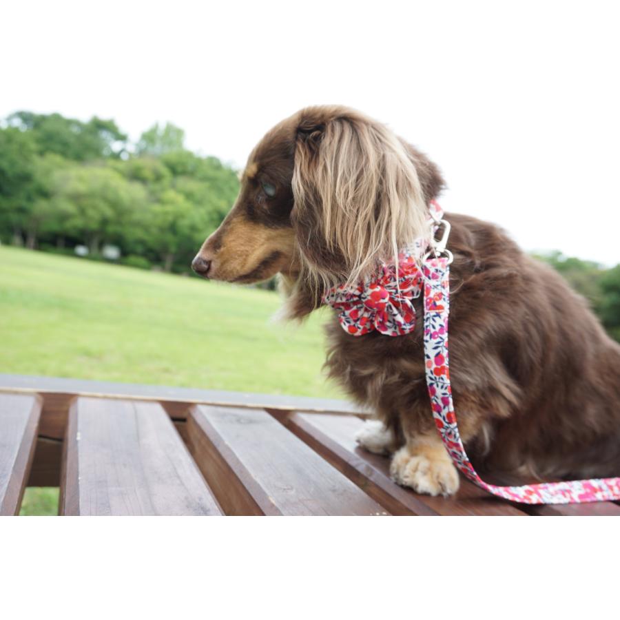 オプション】お花コサージュを追加 犬用首輪 リード ワン