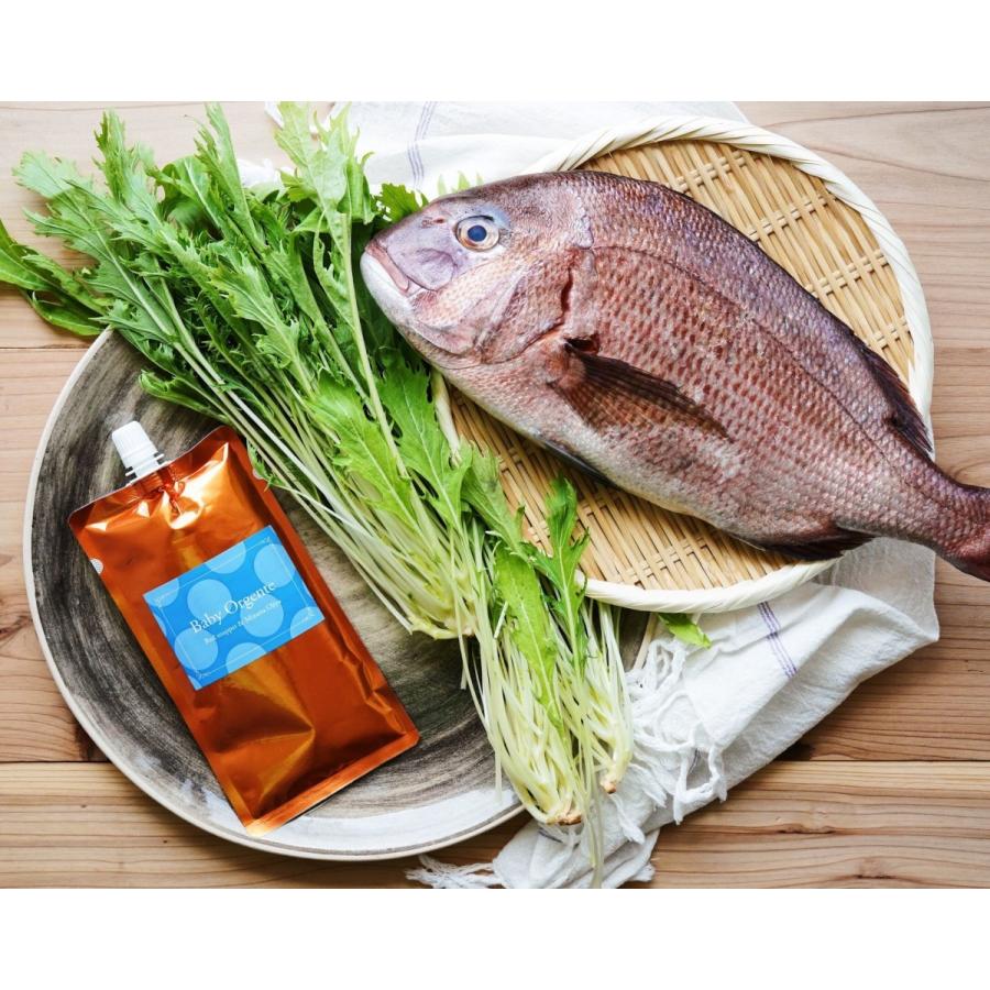【　大サイズ・送料無料＋おまけセット　】離乳食 無添加 有機無農薬 野菜 天然だし BabyOrgente 大サイズ・１６０ｇの４種類を各４袋　合計１６袋の画像