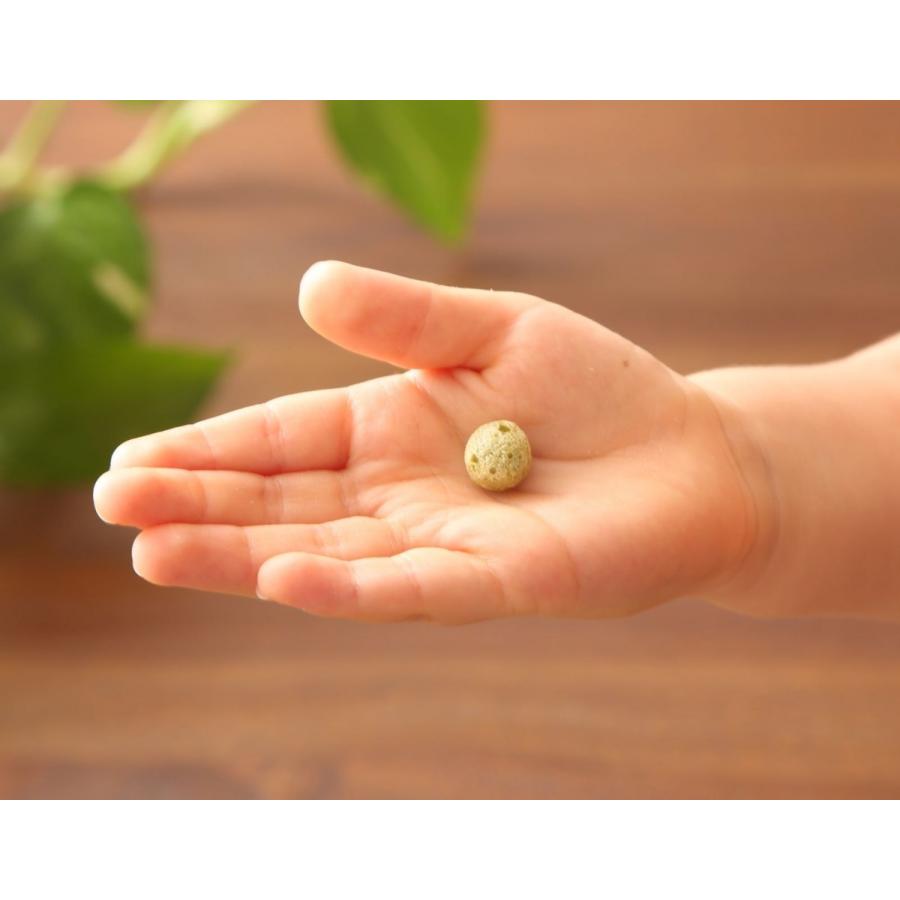 【送料無料＋おまけ８袋付き　】子供用 無添加 パフ お菓子 化学農薬不使用 砂糖や食塩不使用　Orgenteパフ　お得セットの画像