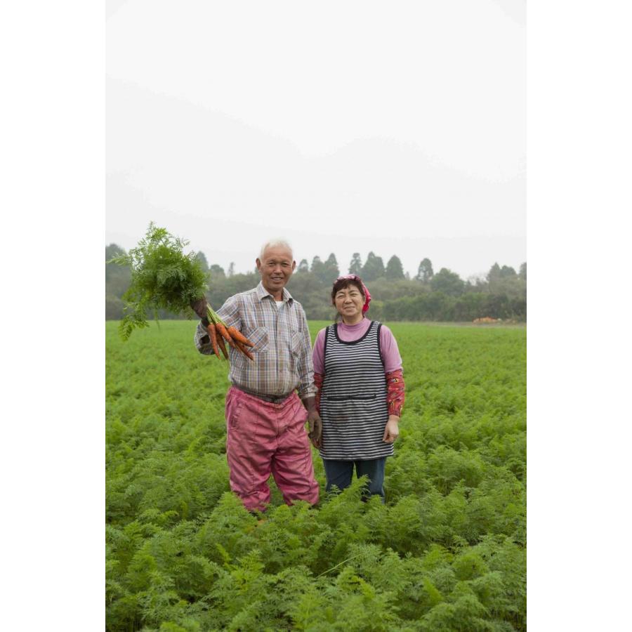 【Cセット・１７袋＋１袋プレゼント　送料無料】有機無農薬のお野菜と手仕込み天然だしの無添加離乳食　初期から後期　BabyOrgenteの画像