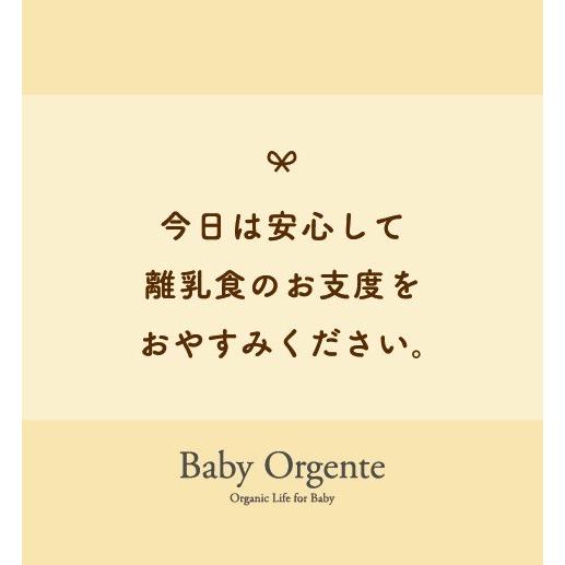 赤ちゃん ギフト 離乳食 セット 出産祝い  無添加 有機無農薬 野菜 天然だし　ギフト箱に12袋入り BabyOrgenteの画像