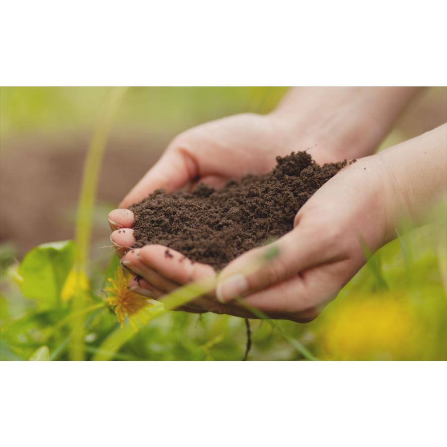 HAYUHA No.1バイオミックス　有機微生物活性水　土壌改良菌　18L |  | 02