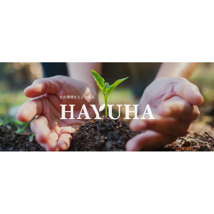 HAYUHA No.3リーフエナジー　天然由来ミネラル液肥　土壌改良菌　10L |  | 01