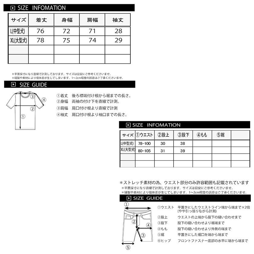 GALFY（ガルフィー） ジャージ セットアップ パチンコ ストリート 