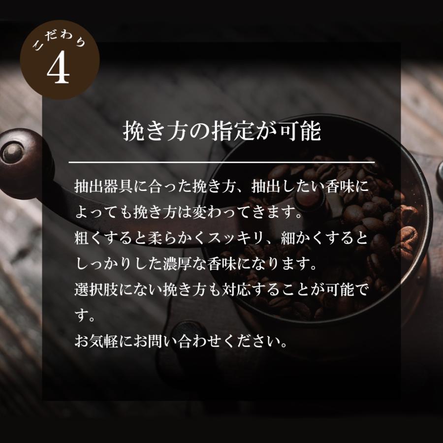 コーヒー豆 珈琲豆 アイス お試しセット 200g×2種/生豆時 水出し