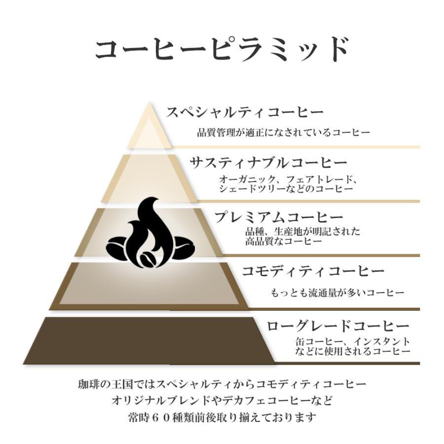 ネコポス送料無料 ウィーンの楽人/200g |  | 14
