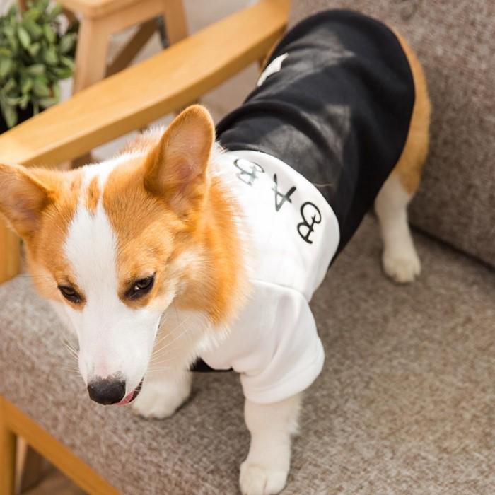 アウトレット 犬服 秋冬 冬 犬 服 ドッグウェア 防寒 暖かい つなぎ 可愛い おしゃれ 小型犬 中型犬 犬用 冬用 もこもこ 送料無料 コーギー ダックス 19wear 15 Beanspet 通販 Yahoo ショッピング