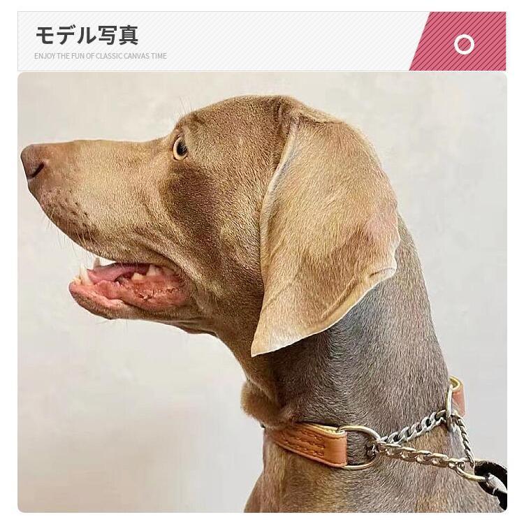 新発売 犬 ハーフチョーク 2層革 犬用 首輪 犬首輪 革 おしゃれ かわいい 小型犬 犬の首輪 いぬ くびわ レザー 訓練 トレーニング 犬用品 Sサイズ Ap S Beanspet 通販 Yahoo ショッピング