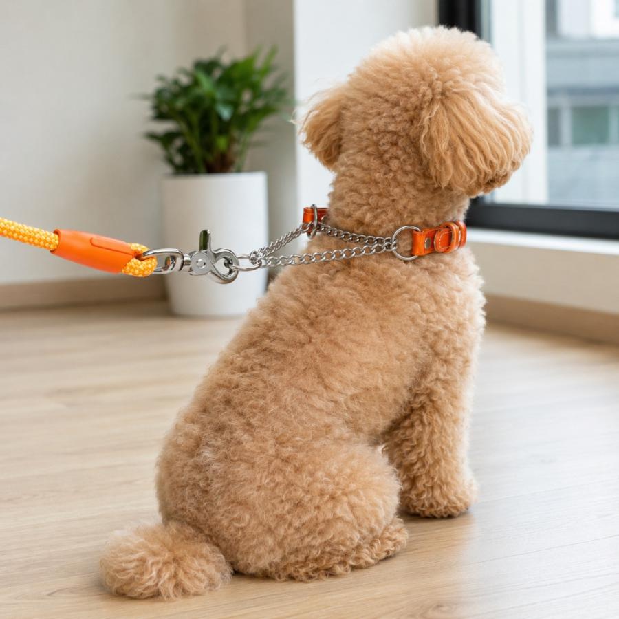 名入れ無料 日本製 本革ハーフチョーク首輪 小型犬〜大型犬対応 しつけ