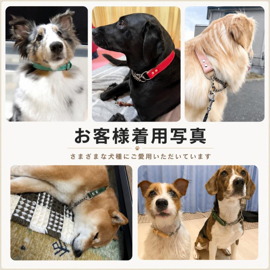 名入れ無料 日本製 本革ハーフチョーク首輪 小型犬〜大型犬対応 しつけ
