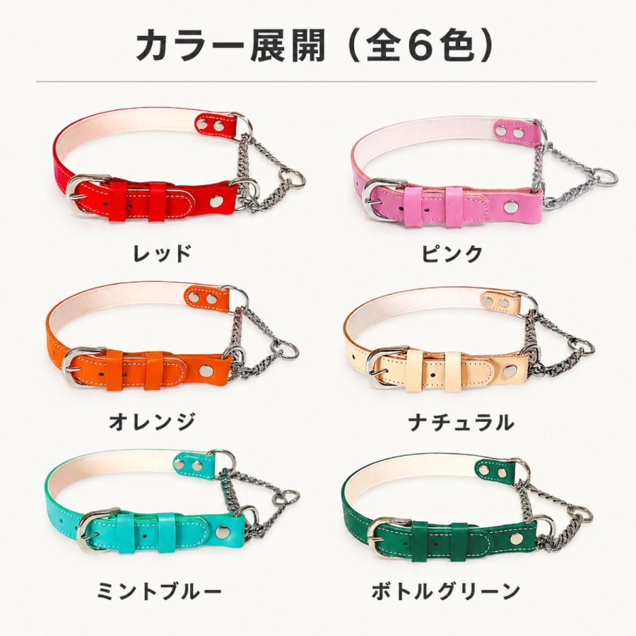 犬用首輪 ハーフチョーク 本革 牛ヌメ革 名入れ無料 日本製金具 小型犬