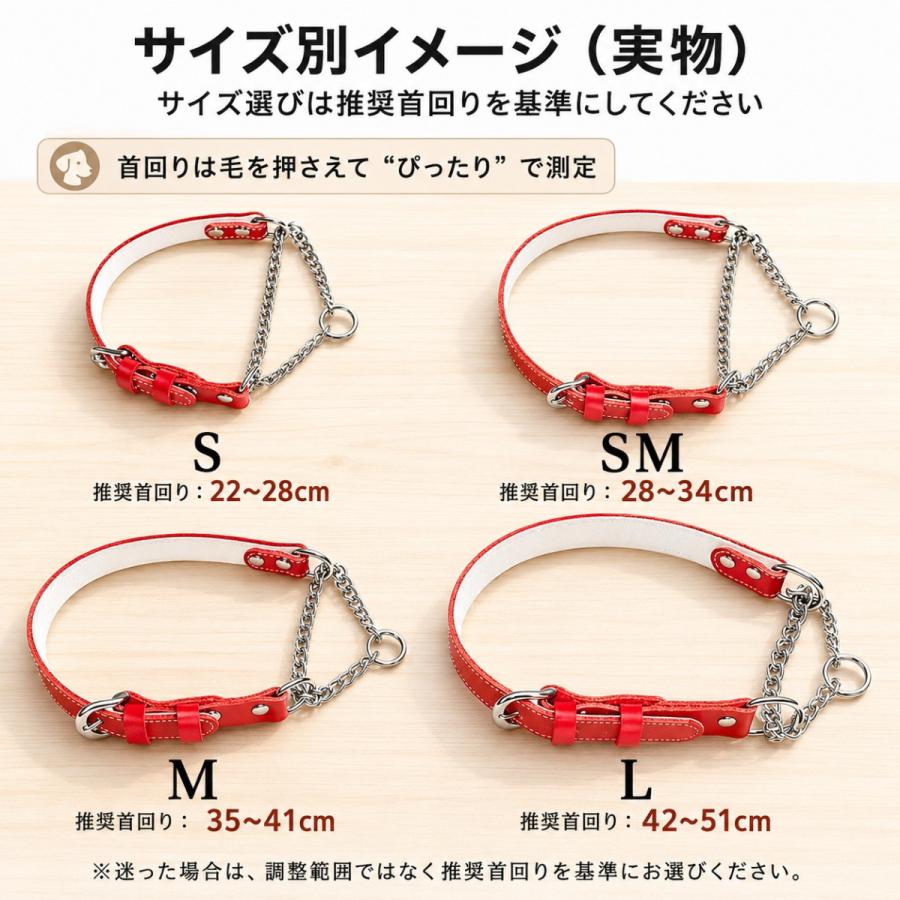 犬用首輪 ハーフチョーク 本革 牛ヌメ革 名入れ無料 日本製金具 小型犬