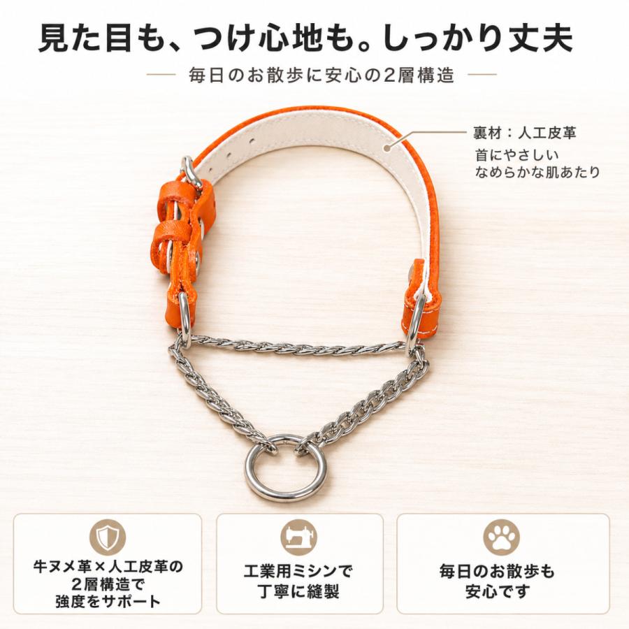 犬用首輪 ハーフチョーク 本革 牛ヌメ革 名入れ無料 日本製金具 小型犬