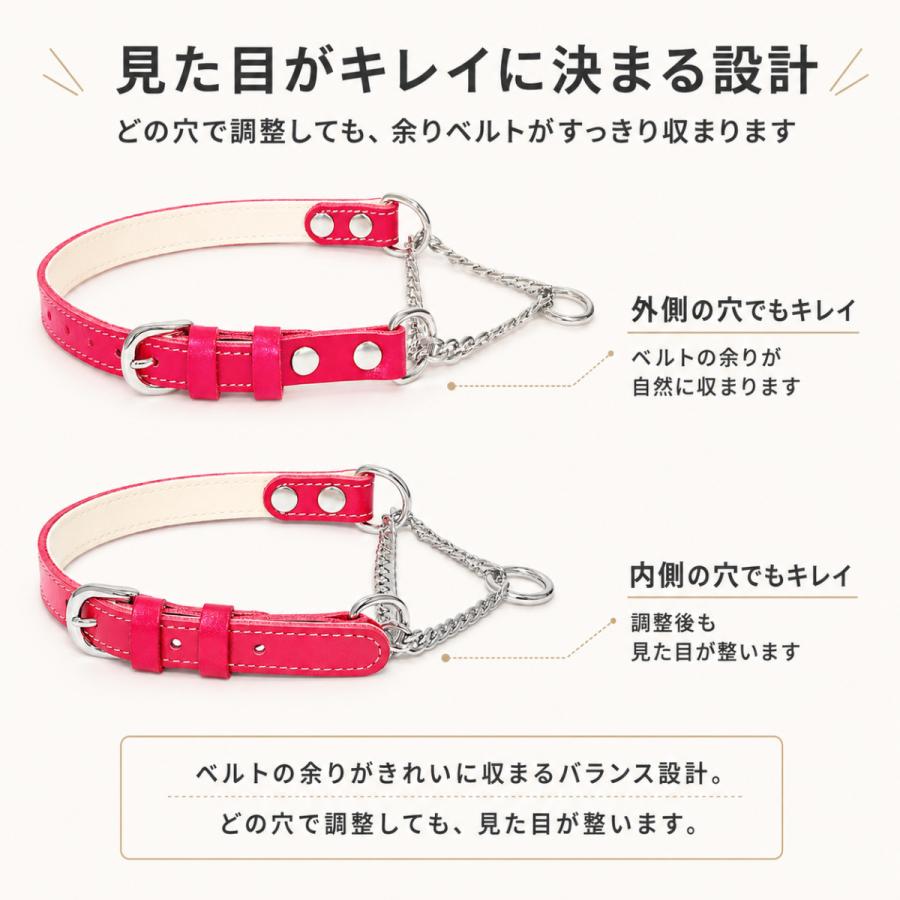 犬用首輪 ハーフチョーク 本革 牛ヌメ革 名入れ無料 日本製金具 小型犬