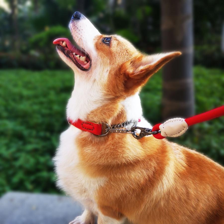 犬用首輪 ハーフチョーク マイクロファイバーレザー チェーン式 軽量