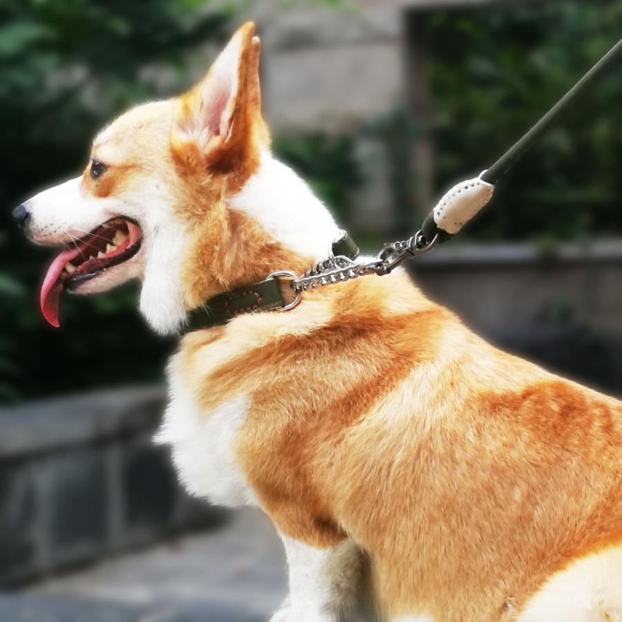 犬用首輪 ハーフチョーク マイクロファイバーレザー チェーン式 軽量