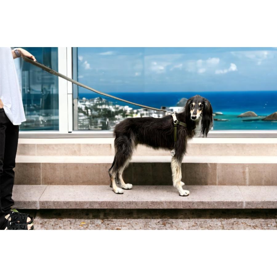 犬 リード 定番 犬用リード 犬リード 2層革 レザー 持ちやすい リード大型犬 おしゃれ 人気 痛くない 多機能 Lサイズ｜beanspet2018｜16