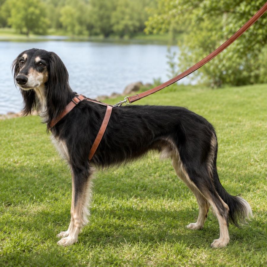 犬 リード 定番 犬用リード 犬リード 2層革 レザー 持ちやすい リード