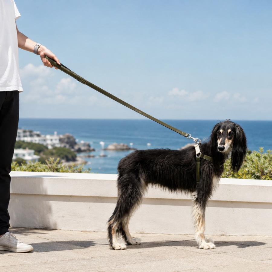 犬 リード 定番 犬用リード 犬リード 2層革 レザー 持ちやすい リード