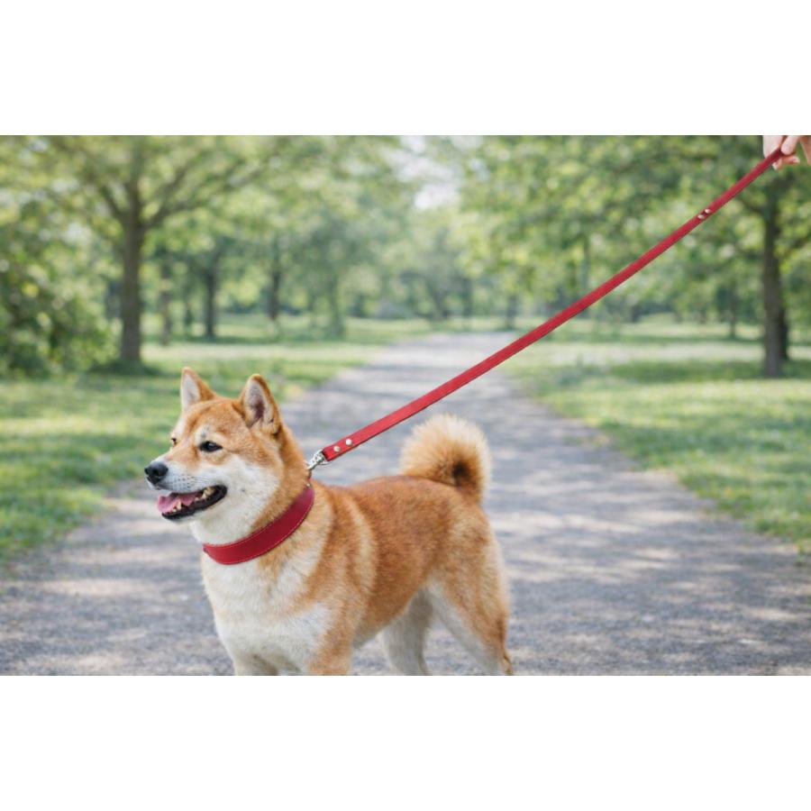 犬 リード 犬リード カラフル ベーシック シンプル 本革 ヌメ革