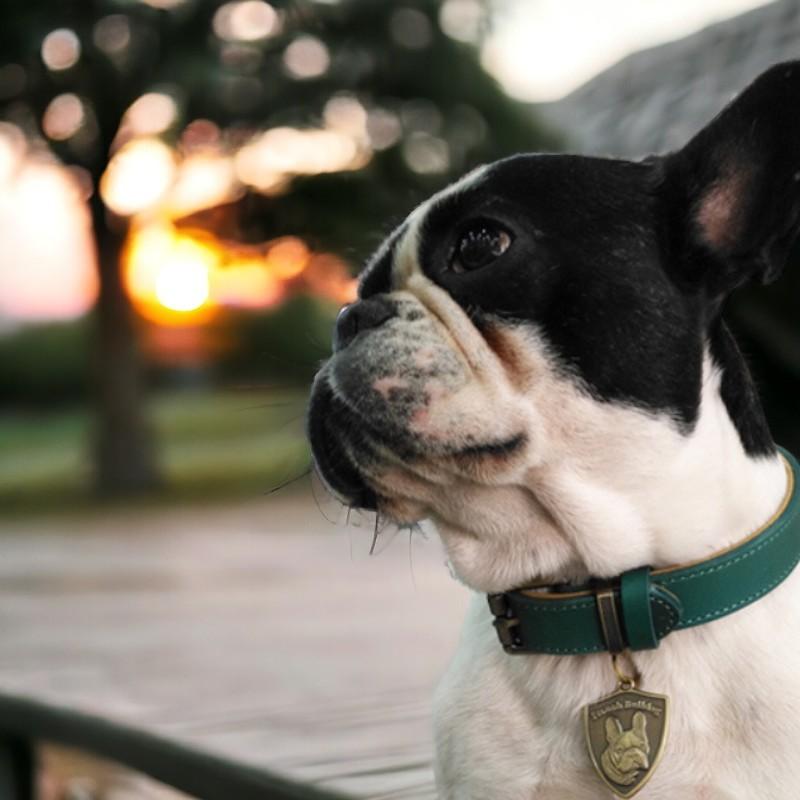 名入れ無料 犬用 本革首輪 厚手レザー 首回り調整可能 ベルトタイプ 小型犬 中型犬 大型犬対応 迷子札リング付き 牛革製 おしゃれカラー 5サイズ展開 丈夫 |  | 20