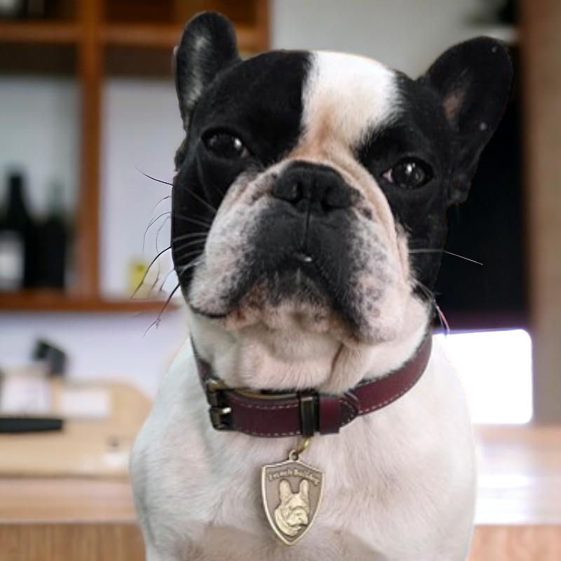 名入れ無料 犬用 本革首輪 厚手レザー 首回り調整可能 ベルトタイプ 小型犬 中型犬 大型犬対応 迷子札リング付き 牛革製 おしゃれカラー 5サイズ展開 丈夫 |  | 21