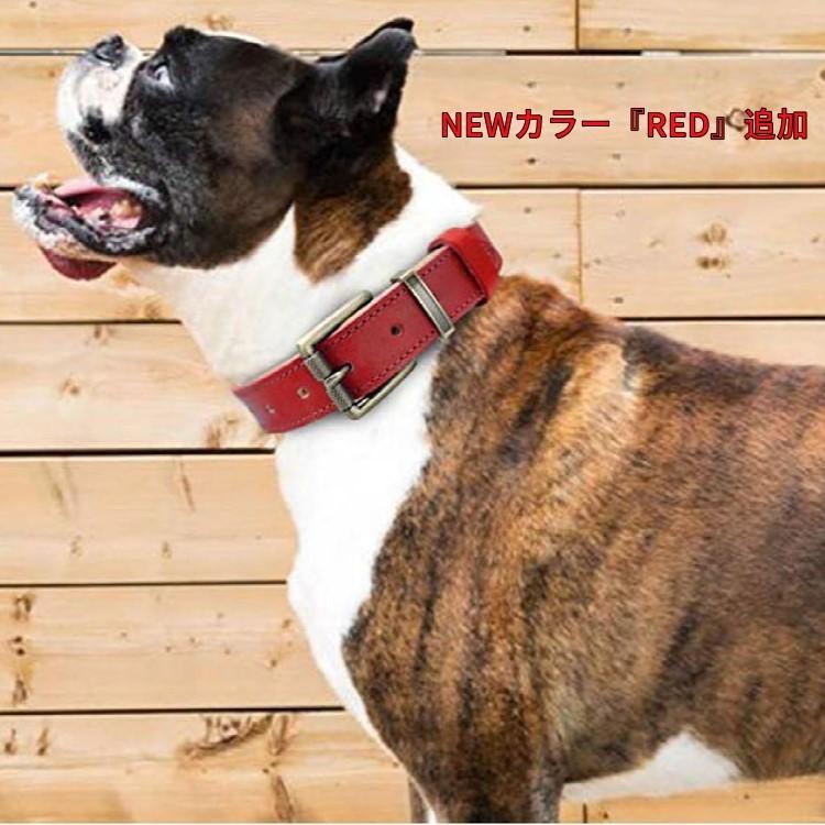 Sale 98 Off 犬首輪 犬用首輪 ベーシック ベルト 本革 犬 首輪 おしゃれ かわいい 猫 小型犬 犬の首輪 チワワ トイプードル いぬ くびわ 革 送料無料 Xsサイズ Discoversvg Com