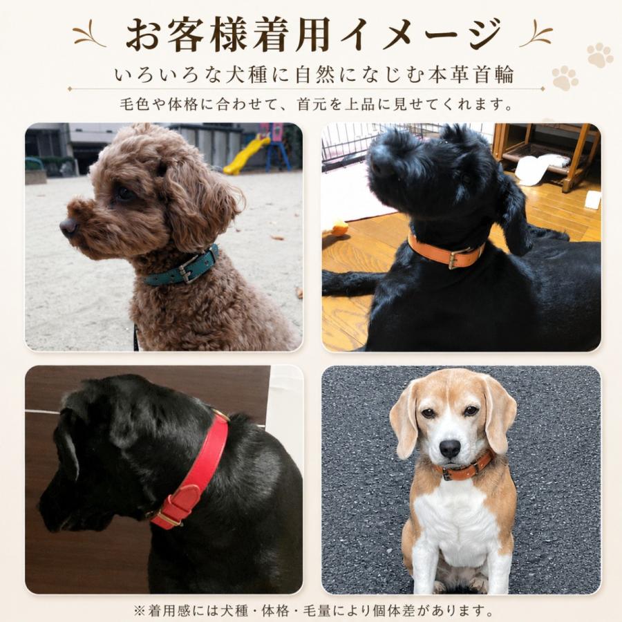名入れ無料 犬用 本革首輪 厚手レザー 首回り調整可能 ベルトタイプ
