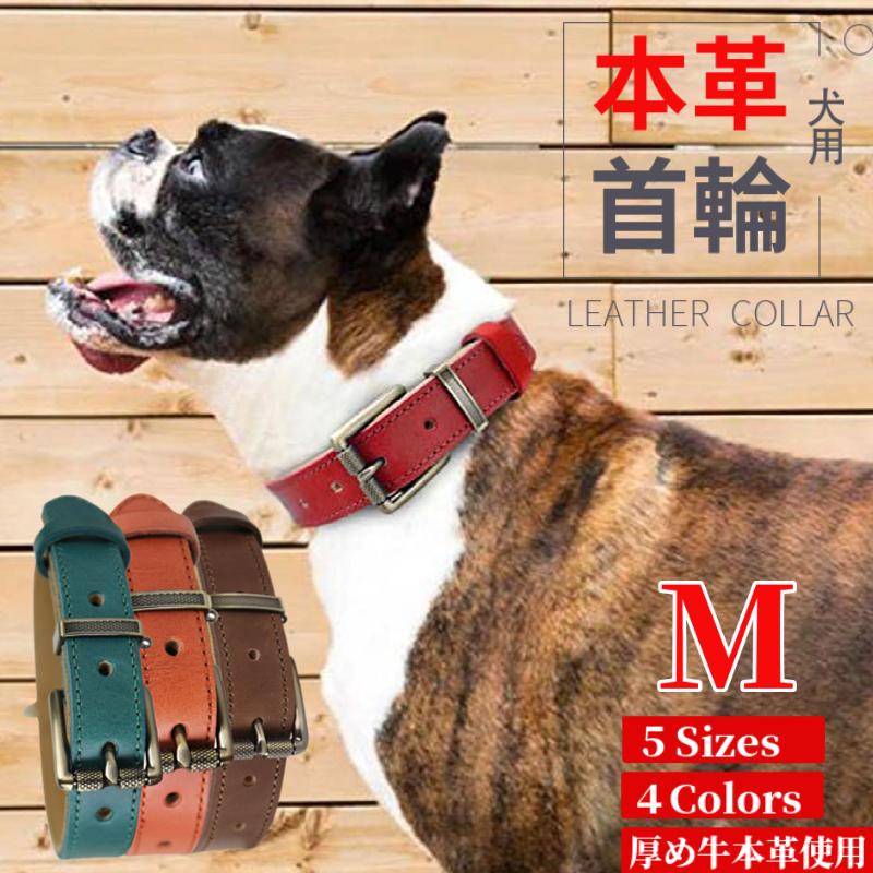 本店 犬の首輪革製 中型犬 首回り33〜40センチに対応 ienomat.com.br