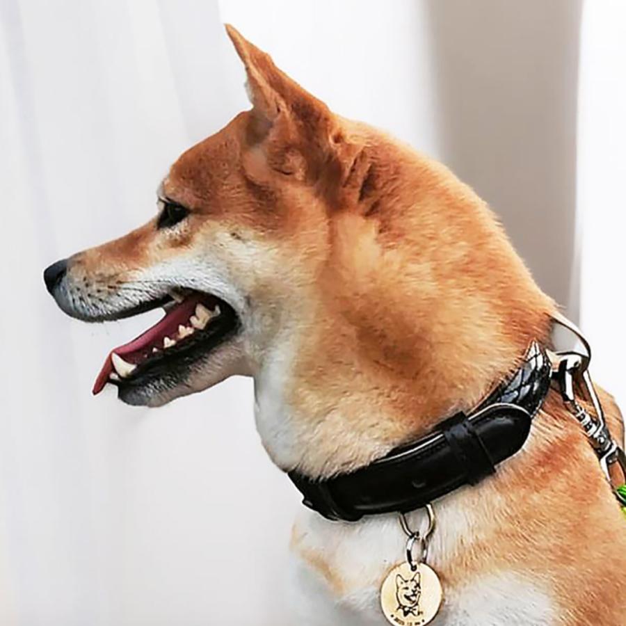 犬 首輪 ベルト首輪 本革首輪 キルティング加工 犬 ベーシック 犬首輪 シンプル 革 おしゃれ かわいい 小型犬 中型犬 大型犬サイズあり |  | 21