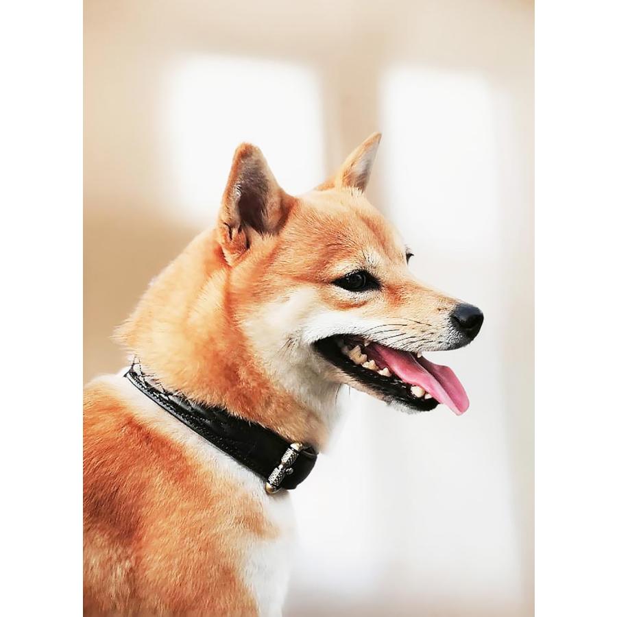 犬 首輪 ベルト首輪 本革首輪 キルティング加工 犬 ベーシック 犬首輪 シンプル 革 おしゃれ かわいい 小型犬 中型犬 大型犬サイズあり |  | 22