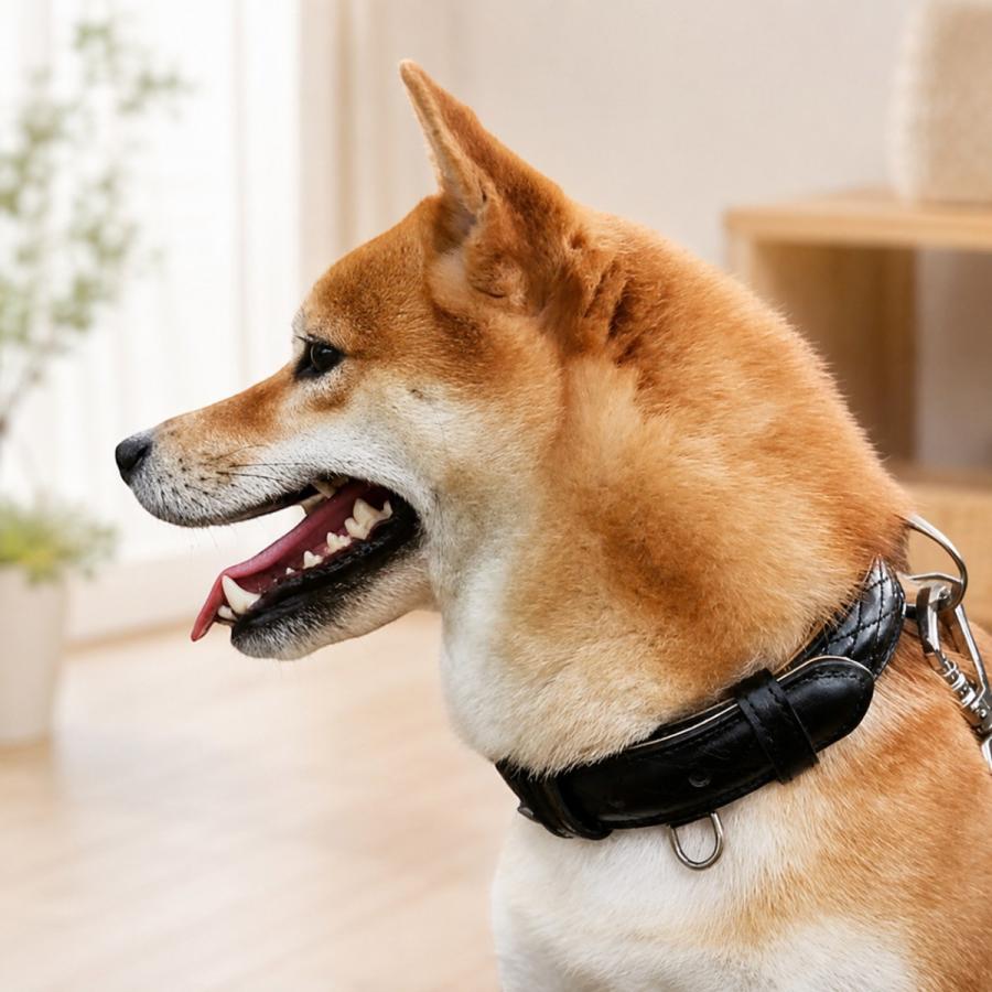 犬用首輪 本革 牛革 キルティング ベルトタイプ スエード裏地 小型犬