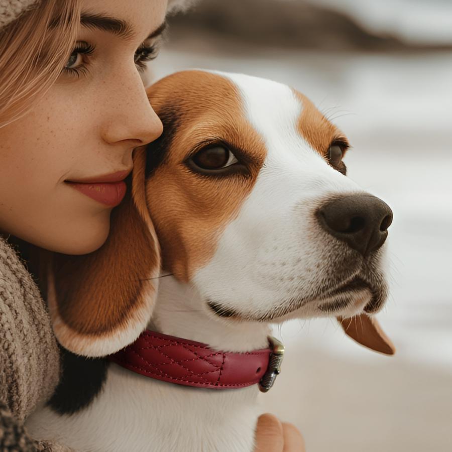 犬 首輪 ベルト首輪 本革首輪 キルティング加工 犬 ベーシック 犬首輪 シンプル 革 おしゃれ かわいい 小型犬 中型犬 大型犬サイズあり |  | 19