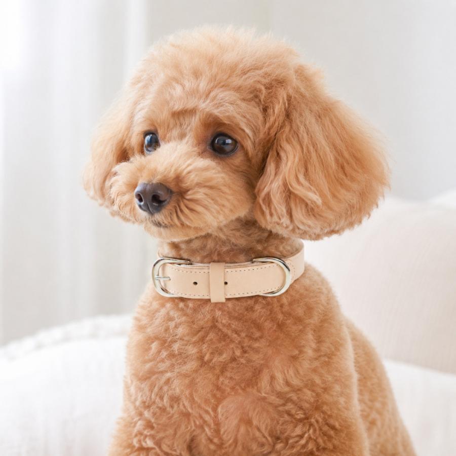 犬用首輪 本革 牛ヌメ革 名入れ無料 名前入り刻印 日本製 猫 小型犬
