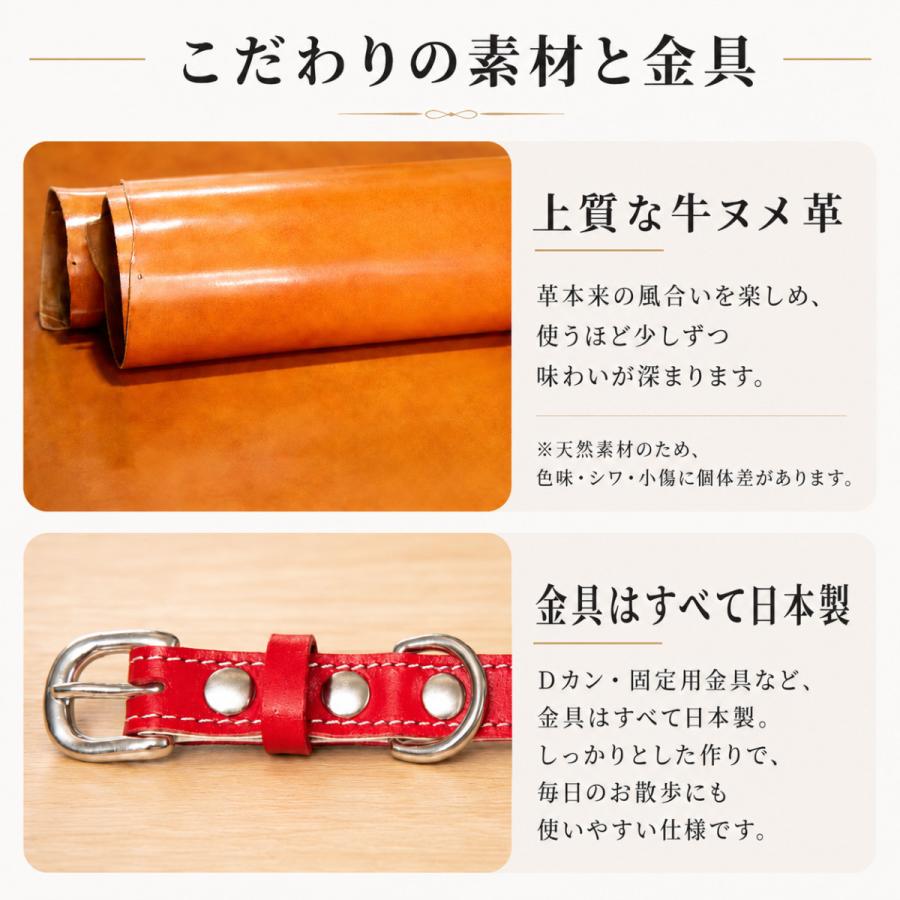 犬用首輪 本革 牛ヌメ革 名入れ無料 名前入り刻印 日本製 猫 小型犬