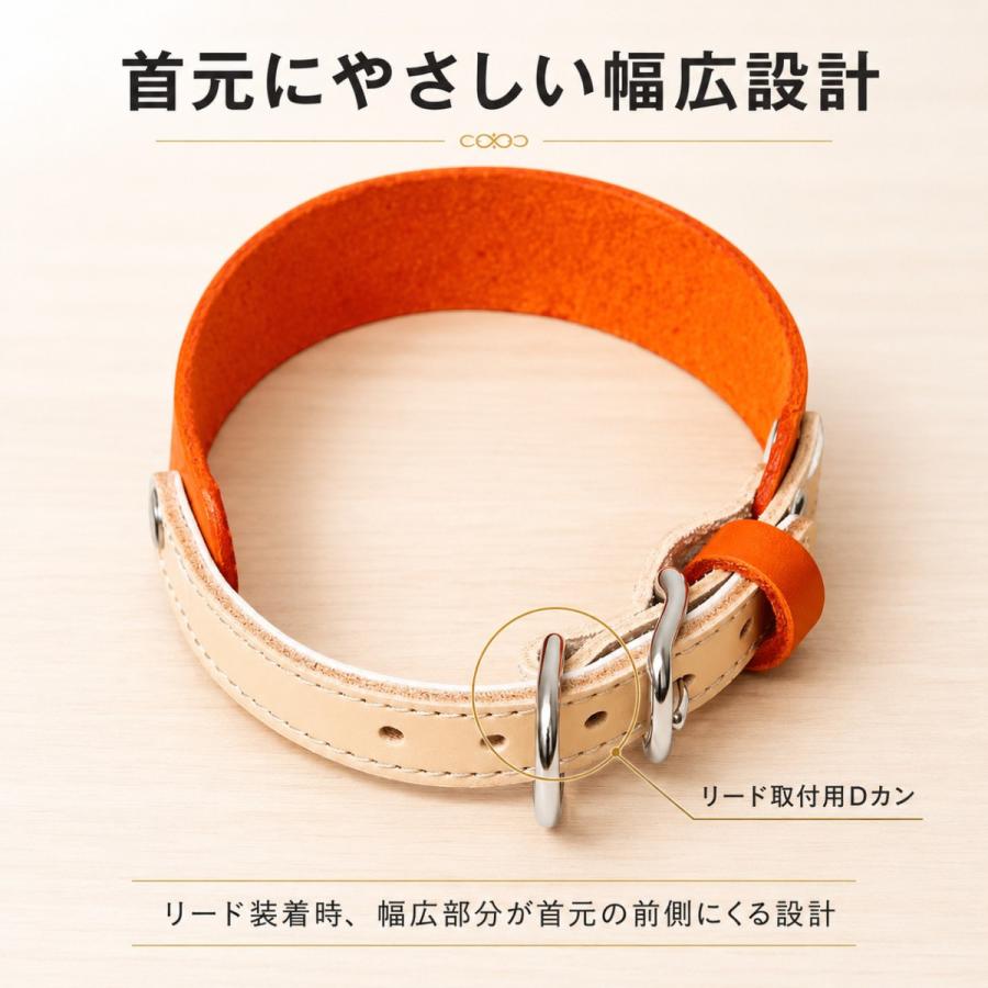 犬用首輪 本革 牛ヌメ革 名入れ無料 日本製 幅広 ベルトタイプ 首の