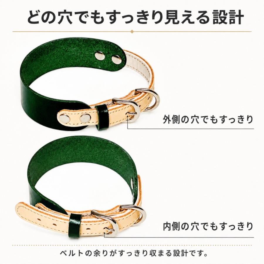 犬用首輪 本革 牛ヌメ革 名入れ無料 日本製 幅広 ベルトタイプ 首の