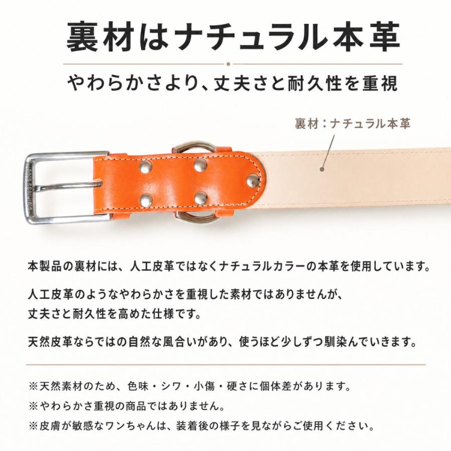 犬用首輪 本革 牛革 名入れ対応 幅広3.5cm ステンレスバックル 日本製