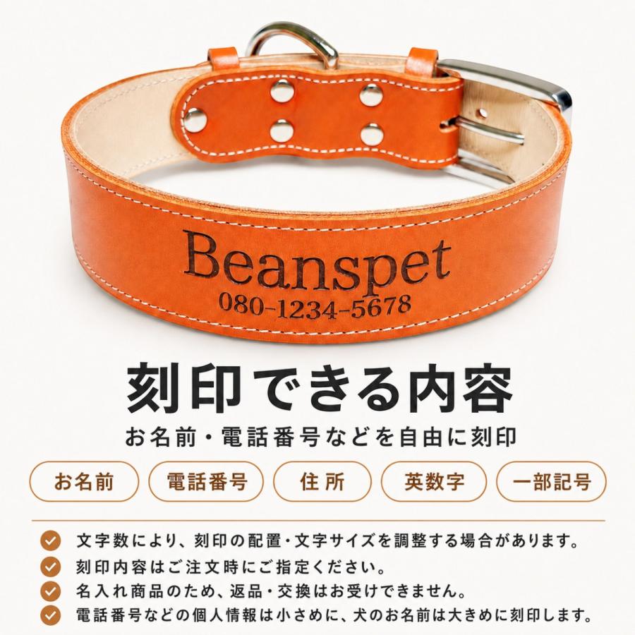 犬用首輪 本革 牛革 名入れ対応 幅広3.5cm ステンレスバックル 日本製