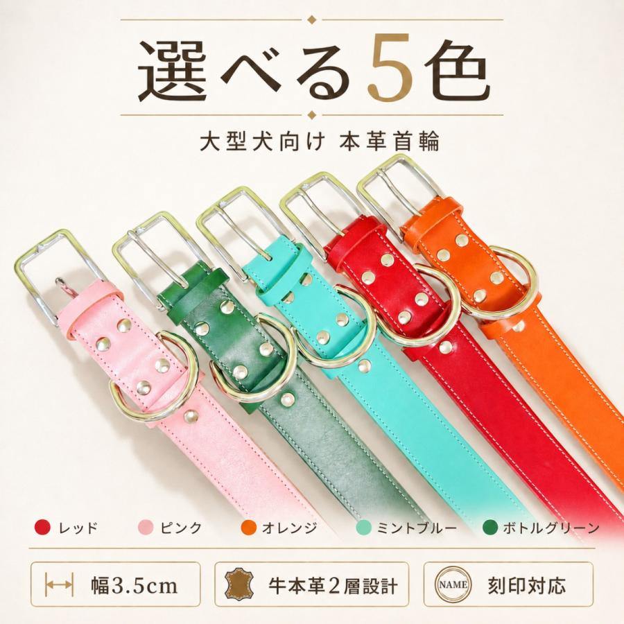 新発売 犬 首輪 大型犬 本革 レザー 名入れ 刻印 幅広 3.5cm L XL