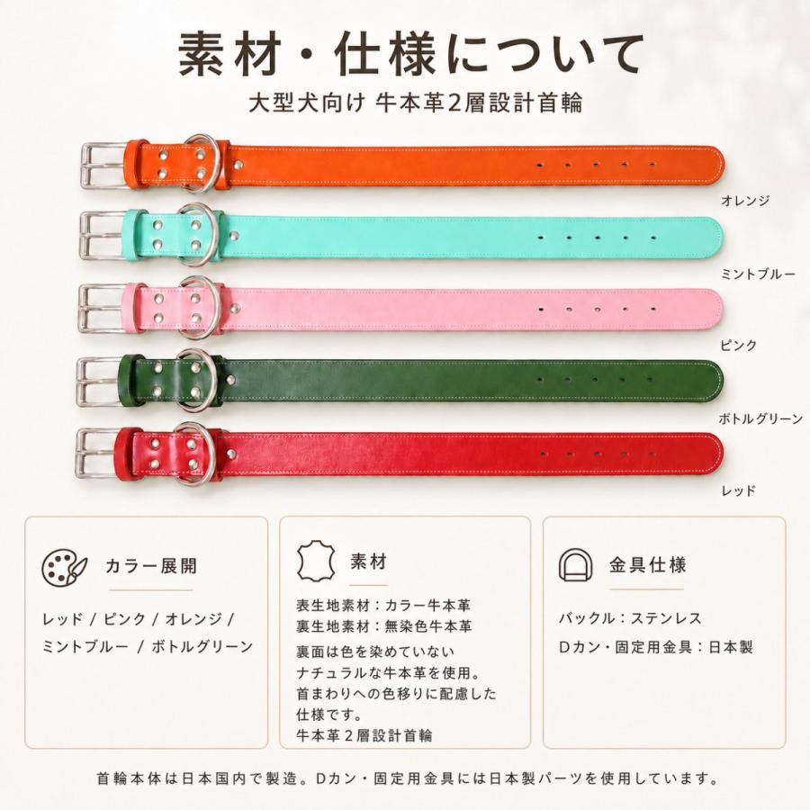犬用首輪 本革 牛革 名入れ対応 幅広3.5cm ステンレスバックル 日本製