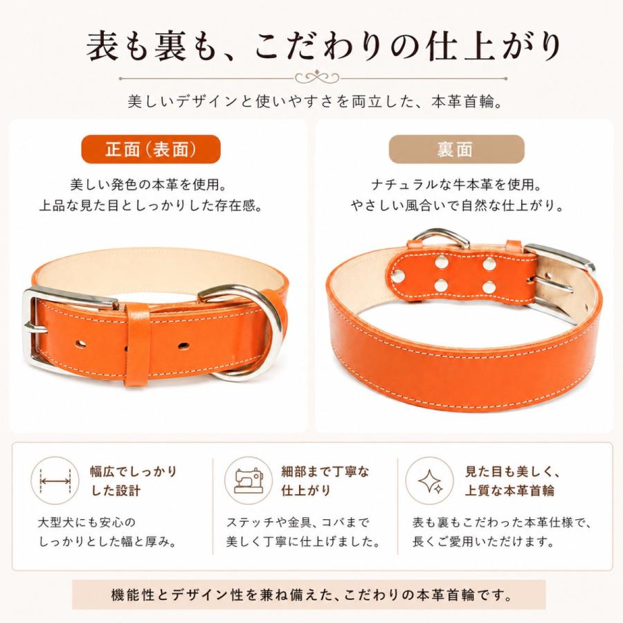 犬用首輪 本革 牛革 名入れ対応 幅広3.5cm ステンレスバックル 日本製