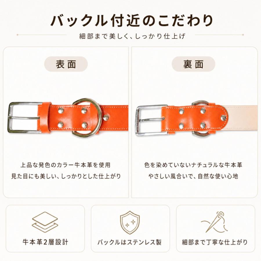 犬用首輪 本革 牛革 名入れ対応 幅広3.5cm ステンレスバックル 日本製