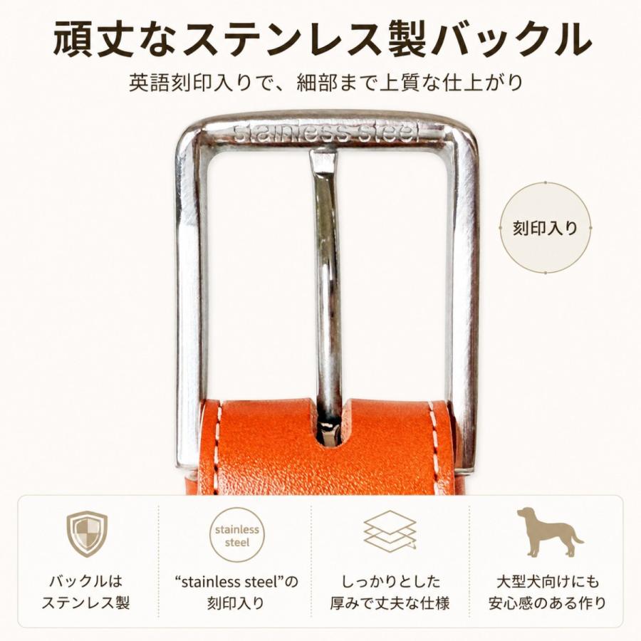 犬用首輪 本革 牛革 名入れ対応 幅広3.5cm ステンレスバックル 日本製