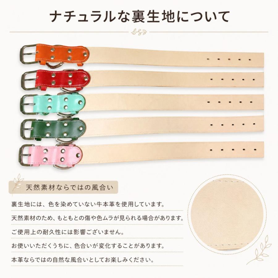 犬用首輪 本革 牛革 名入れ対応 幅広3.5cm ステンレスバックル 日本製