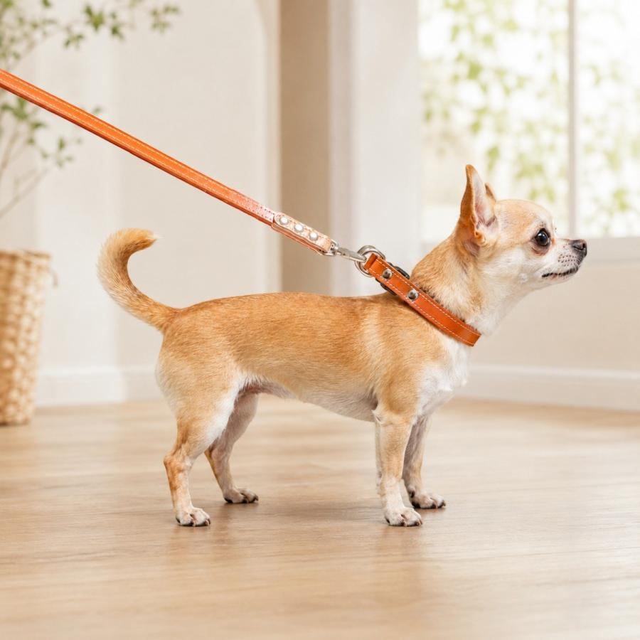 犬用首輪 本革 牛革 名入れ対応 ワンタッチ ダブルリング 2重ロック