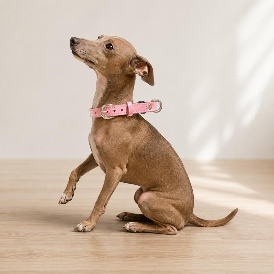 犬用首輪 本革 牛革 名入れ対応 ワンタッチ ダブルリング 2重ロック