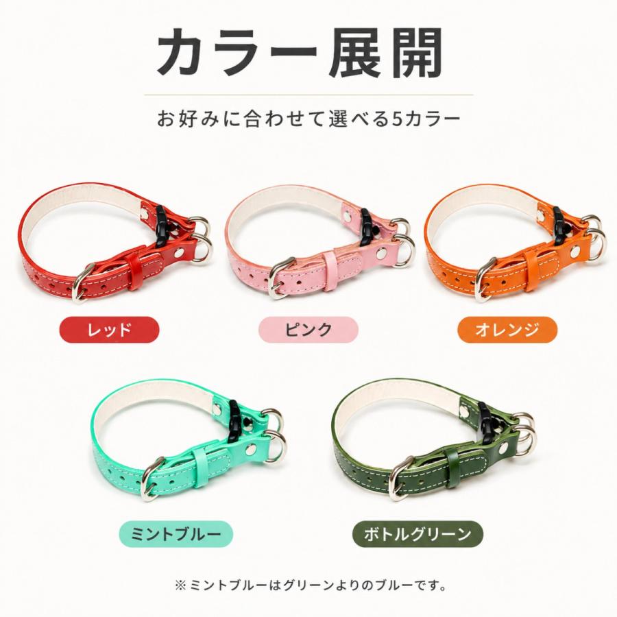 犬用首輪 本革 牛革 名入れ対応 ワンタッチ ダブルリング 2重ロック